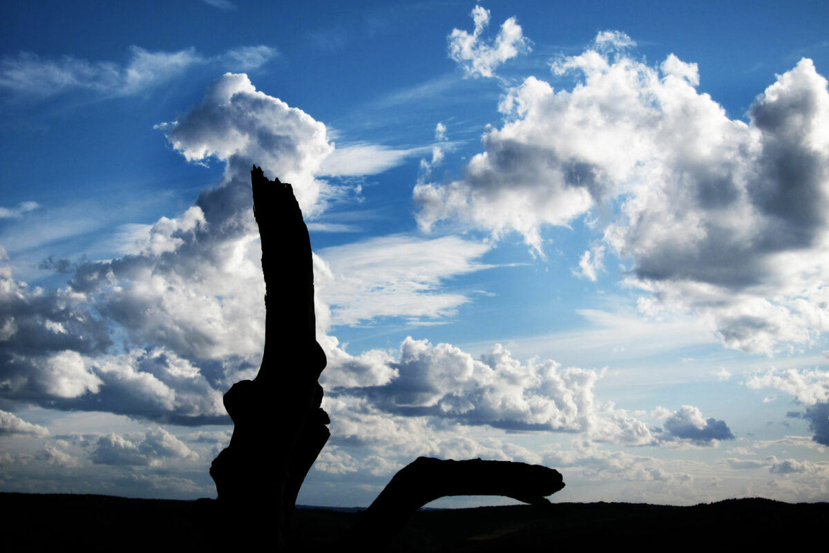 2_Cloudy_Sabitha-Saul