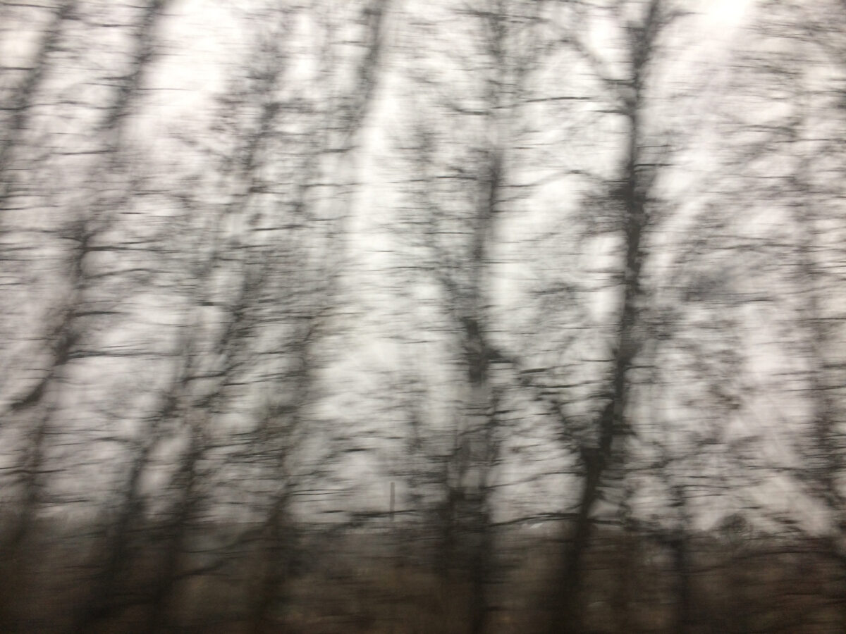 Trip_01_Sabitha-Saul