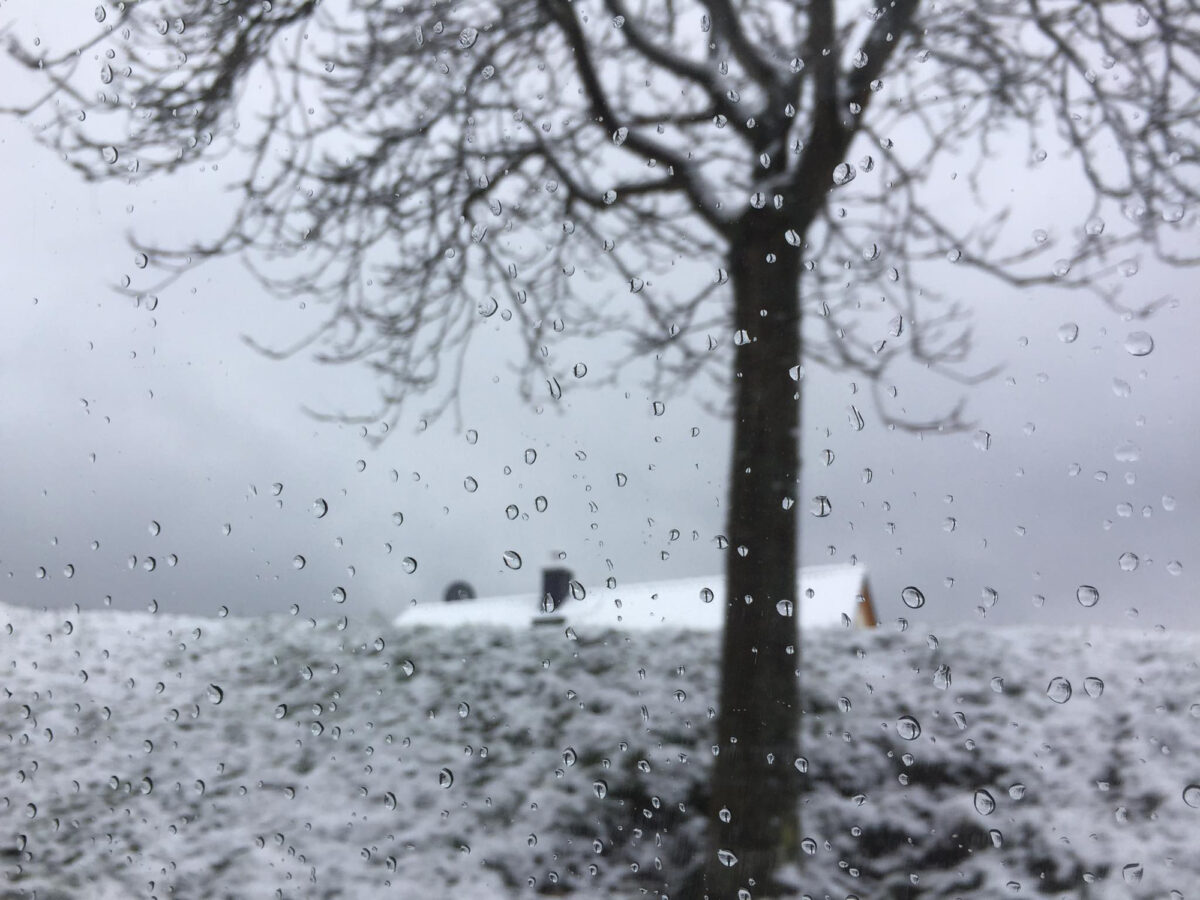 Winter_00_Sabitha-Saul