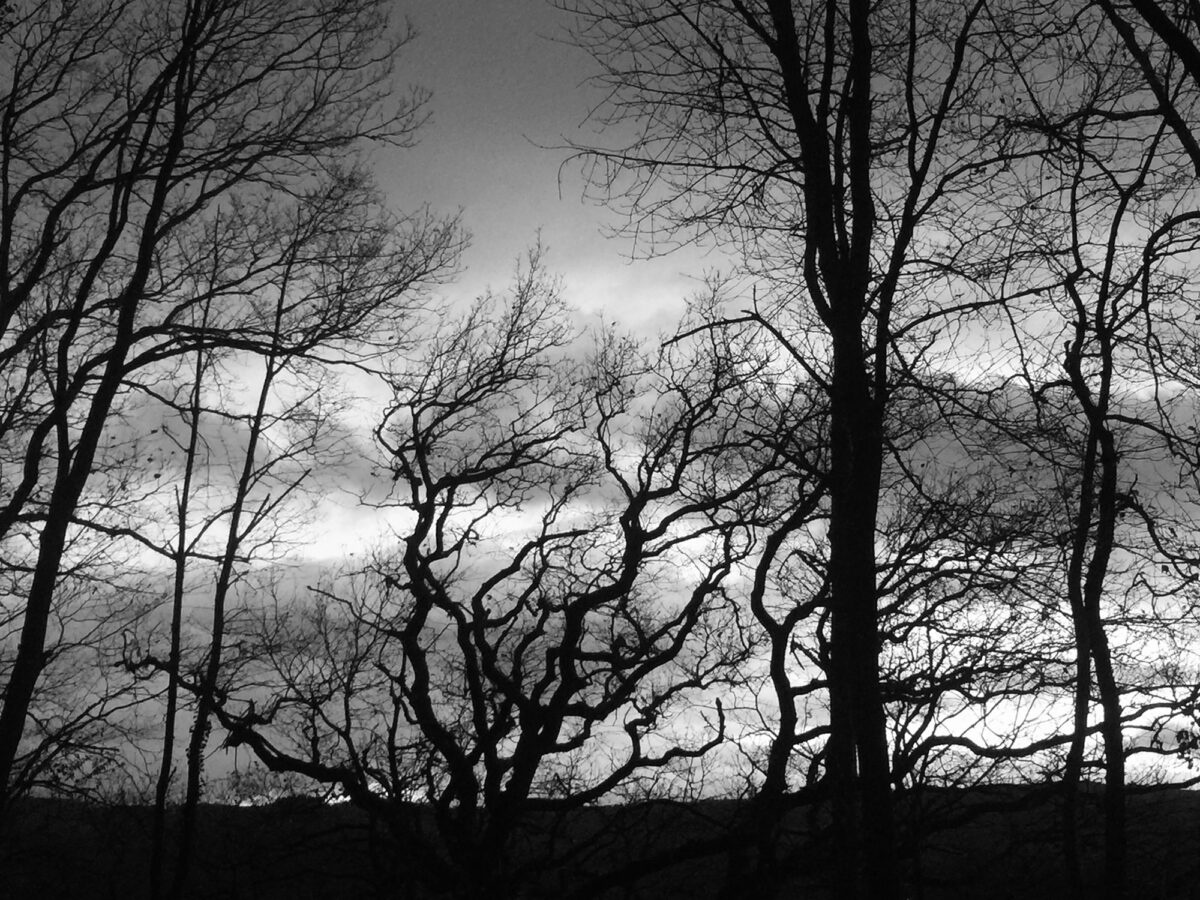 Winter_01_Sabitha-Saul