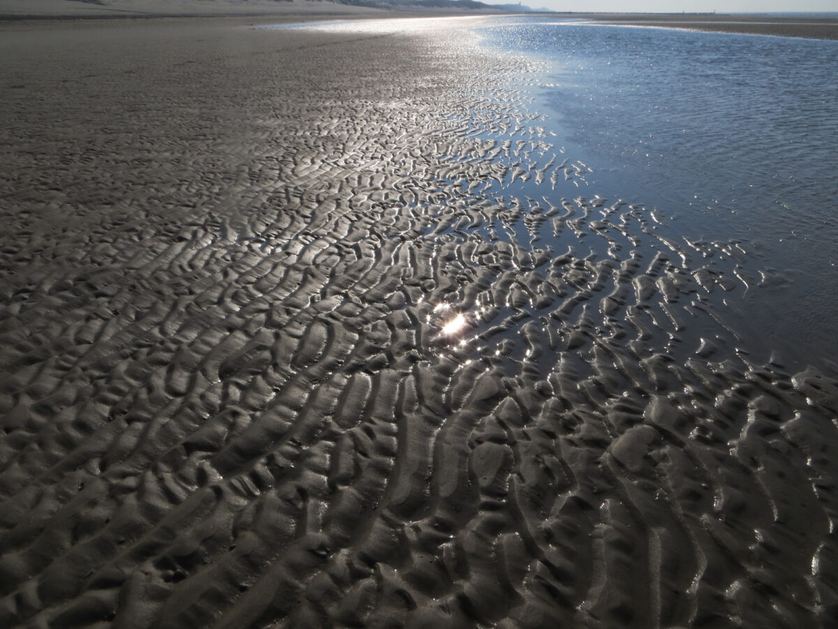 shine_01_Sabitha-Saul