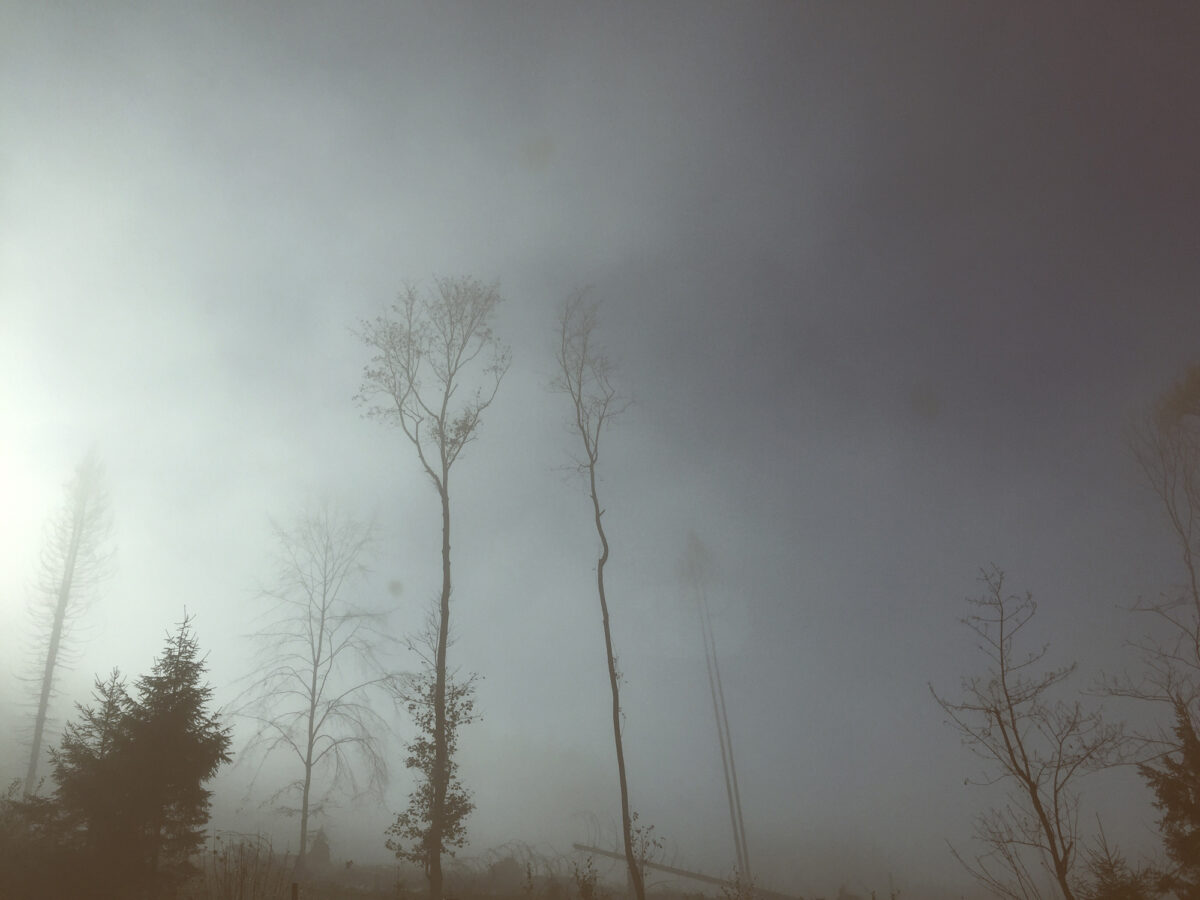 spirits_02_Sabitha-Saul